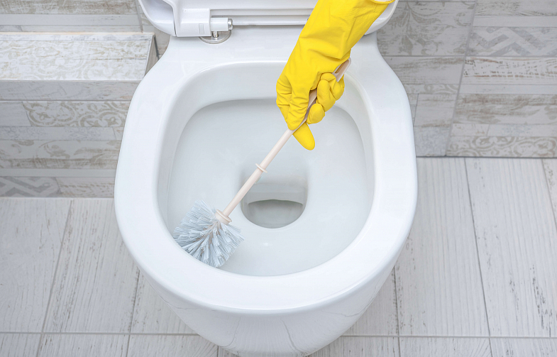 Как чистить туалет: удаление пятен и предотвращение запахов